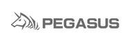 pegasus