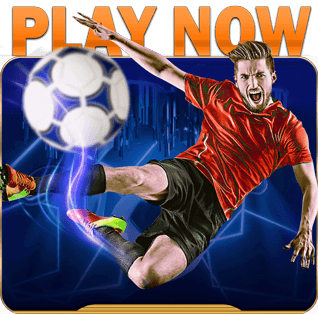 playnow sports